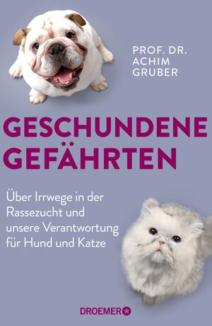 Buchcover Geschundene Gefährten | Achim Gruber | EAN 9783426279083 | ISBN 3-426-27908-8 | ISBN 978-3-426-27908-3