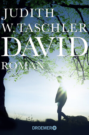 Buchcover David | Judith W. Taschler | EAN 9783426304808 | ISBN 3-426-30480-5 | ISBN 978-3-426-30480-8