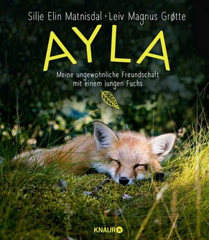 Buchcover Ayla - meine ungewöhnliche Freundschaft mit einem jungen Fuchs | Silje Elin Matnisdal | EAN 9783426453803 | ISBN 3-426-45380-0 | ISBN 978-3-426-45380-3