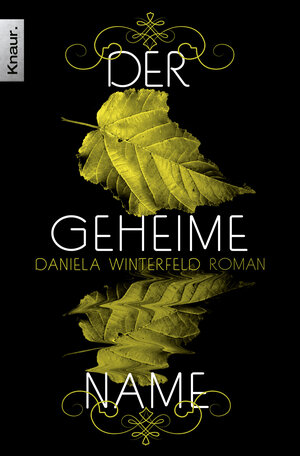 Buchcover Der geheime Name | Daniela Winterfeld | EAN 9783426511275 | ISBN 3-426-51127-4 | ISBN 978-3-426-51127-5