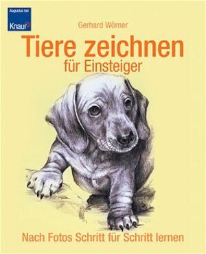 Tiere zeichnen für Einsteiger: Nach Fotos Schritt für Schritt lernen