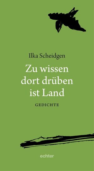 Buchcover Zu wissen dort drüben ist Land | Ilka Scheidgen | EAN 9783429039936 | ISBN 3-429-03993-2 | ISBN 978-3-429-03993-6