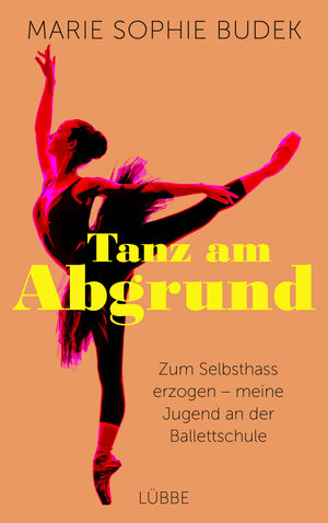 Buchcover Tanz am Abgrund | Marie Sophie Budek | EAN 9783431050219 | ISBN 3-431-05021-2 | ISBN 978-3-431-05021-9