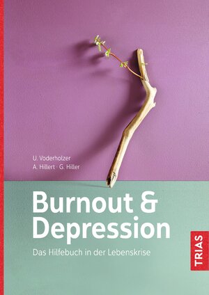 Buchcover Burnout & Depression | Ulrich Voderholzer | EAN 9783432103334 | ISBN 3-432-10333-6 | ISBN 978-3-432-10333-4