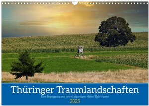 Buchcover Thüringer Traumlandschaften (Wandkalender 2025 DIN A3 quer), CALVENDO Monatskalender | Torsten Irmer | EAN 9783435013241 | ISBN 3-435-01324-9 | ISBN 978-3-435-01324-1