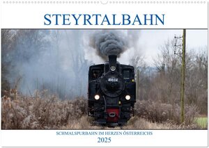 Buchcover Steyrtalbahn (Wandkalender 2025 DIN A2 quer), CALVENDO Monatskalender | Wolfgang Simlinger | EAN 9783435021123 | ISBN 3-435-02112-8 | ISBN 978-3-435-02112-3