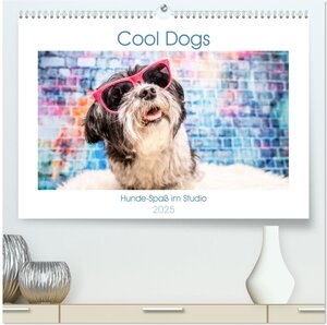 Buchcover Cool Dogs - Hunde-Spaß im Studio (hochwertiger Premium Wandkalender 2025 DIN A2 quer), Kunstdruck in Hochglanz | Sonja Teßen | EAN 9783435211043 | ISBN 3-435-21104-0 | ISBN 978-3-435-21104-3