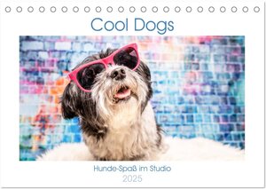 Buchcover Cool Dogs - Hunde-Spaß im Studio (Tischkalender 2025 DIN A5 quer), CALVENDO Monatskalender | Sonja Teßen | EAN 9783435212927 | ISBN 3-435-21292-6 | ISBN 978-3-435-21292-7
