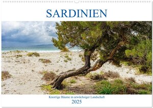 Buchcover Sardinien Knorrige Bäume in urwüchsiger Landschaft (Wandkalender 2025 DIN A2 quer), CALVENDO Monatskalender | Angelika Beuck | EAN 9783435222100 | ISBN 3-435-22210-7 | ISBN 978-3-435-22210-0