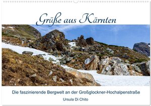 Buchcover Grüße aus Kärnten (Wandkalender 2025 DIN A2 quer), CALVENDO Monatskalender | Ursula Di Chito | EAN 9783435224067 | ISBN 3-435-22406-1 | ISBN 978-3-435-22406-7