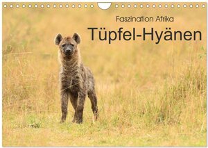 Buchcover Faszination Afrika: Tüpfel-Hyänen (Wandkalender 2025 DIN A4 quer), CALVENDO Monatskalender | Elmar Weiss | EAN 9783435228232 | ISBN 3-435-22823-7 | ISBN 978-3-435-22823-2