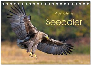 Buchcover Majestätische Seeadler (Tischkalender 2025 DIN A5 quer), CALVENDO Monatskalender | Elmar Weiss | EAN 9783435229680 | ISBN 3-435-22968-3 | ISBN 978-3-435-22968-0