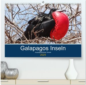 Buchcover Tierwelt auf Galapagos (hochwertiger Premium Wandkalender 2025 DIN A2 quer), Kunstdruck in Hochglanz | IAM photography | EAN 9783435247769 | ISBN 3-435-24776-2 | ISBN 978-3-435-24776-9
