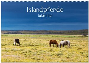 Buchcover Islandpferde take it Isi (Wandkalender 2025 DIN A2 quer), CALVENDO Monatskalender | Klaus Gerken | EAN 9783435272105 | ISBN 3-435-27210-4 | ISBN 978-3-435-27210-5