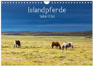 Buchcover Islandpferde take it Isi (Wandkalender 2025 DIN A4 quer), CALVENDO Monatskalender | Klaus Gerken | EAN 9783435272846 | ISBN 3-435-27284-8 | ISBN 978-3-435-27284-6