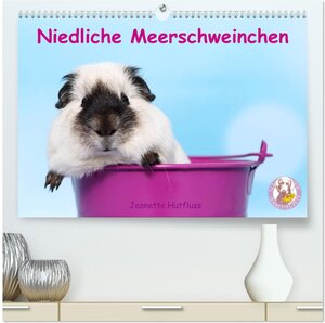 Buchcover Niedliche Meerschweinchen (hochwertiger Premium Wandkalender 2025 DIN A2 quer), Kunstdruck in Hochglanz | Jeanette Hutfluss | EAN 9783435401482 | ISBN 3-435-40148-6 | ISBN 978-3-435-40148-2