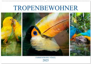 Buchcover Tropenbewohner - farbenfrohe Vögel (Wandkalender 2025 DIN A2 quer), CALVENDO Monatskalender | Liselotte Brunner-Klaus | EAN 9783435425150 | ISBN 3-435-42515-6 | ISBN 978-3-435-42515-0