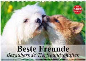 Buchcover Beste Freunde. Bezaubernde Tierfreundschaften (Wandkalender 2025 DIN A2 quer), CALVENDO Monatskalender | Elisabeth Stanzer | EAN 9783435514786 | ISBN 3-435-51478-7 | ISBN 978-3-435-51478-6