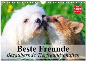 Buchcover Beste Freunde. Bezaubernde Tierfreundschaften (Wandkalender 2025 DIN A4 quer), CALVENDO Monatskalender | Elisabeth Stanzer | EAN 9783435515455 | ISBN 3-435-51545-7 | ISBN 978-3-435-51545-5