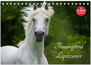 Buchcover Traumpferd Lipizzaner (Tischkalender 2025 DIN A5 quer), CALVENDO Monatskalender | Sigrid Starick | EAN 9783435543991 | ISBN 3-435-54399-X | ISBN 978-3-435-54399-1