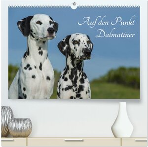 Buchcover Auf den Punkt - Dalmatiner (hochwertiger Premium Wandkalender 2025 DIN A2 quer), Kunstdruck in Hochglanz | Sigrid Starick | EAN 9783435573493 | ISBN 3-435-57349-X | ISBN 978-3-435-57349-3