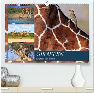 Buchcover Giraffen - Sanftheit und Anmut (hochwertiger Premium Wandkalender 2025 DIN A2 quer), Kunstdruck in Hochglanz | Michael Herzog | EAN 9783435591596 | ISBN 3-435-59159-5 | ISBN 978-3-435-59159-6