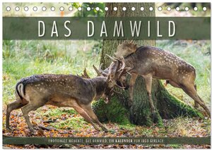Buchcover Emotionale Momente: Das Damwild. (Tischkalender 2025 DIN A5 quer), CALVENDO Monatskalender | Ingo Gerlach | EAN 9783435616473 | ISBN 3-435-61647-4 | ISBN 978-3-435-61647-3