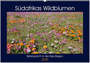 Buchcover Südafrikas Wildblumen - Blütenpracht in der Kap-Region (Wandkalender 2025 DIN A2 quer), CALVENDO Monatskalender | Michael Herzog | EAN 9783435643943 | ISBN 3-435-64394-3 | ISBN 978-3-435-64394-3