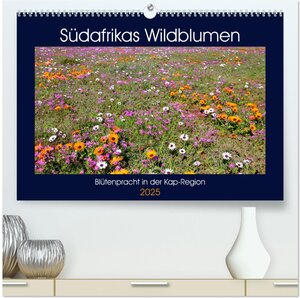 Buchcover Südafrikas Wildblumen - Blütenpracht in der Kap-Region (hochwertiger Premium Wandkalender 2025 DIN A2 quer), Kunstdruck in Hochglanz | Michael Herzog | EAN 9783435644322 | ISBN 3-435-64432-X | ISBN 978-3-435-64432-2