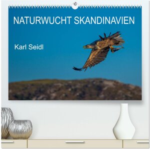 Buchcover Naturwucht Skandinavien (hochwertiger Premium Wandkalender 2025 DIN A2 quer), Kunstdruck in Hochglanz | Karl Seidl | EAN 9783435671724 | ISBN 3-435-67172-6 | ISBN 978-3-435-67172-4