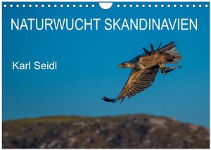 Buchcover Naturwucht Skandinavien (Wandkalender 2025 DIN A4 quer), CALVENDO Monatskalender | Karl Seidl | EAN 9783435672578 | ISBN 3-435-67257-9 | ISBN 978-3-435-67257-8