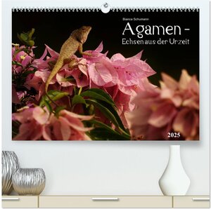 Buchcover Agamen - Echsen aus der Urzeit (hochwertiger Premium Wandkalender 2025 DIN A2 quer), Kunstdruck in Hochglanz | Bianca Schumann | EAN 9783435687718 | ISBN 3-435-68771-1 | ISBN 978-3-435-68771-8