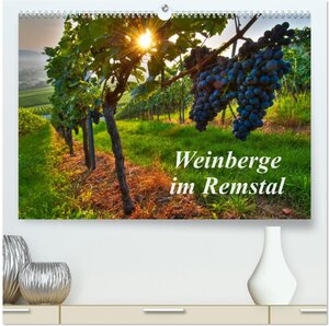 Buchcover Weinberge im Remstal (hochwertiger Premium Wandkalender 2025 DIN A2 quer), Kunstdruck in Hochglanz | Bernd Schmidt | EAN 9783435708383 | ISBN 3-435-70838-7 | ISBN 978-3-435-70838-3