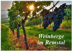 Buchcover Weinberge im Remstal (Wandkalender 2025 DIN A2 quer), CALVENDO Monatskalender | Bernd Schmidt | EAN 9783435718542 | ISBN 3-435-71854-4 | ISBN 978-3-435-71854-2