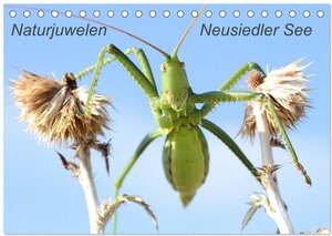 Buchcover Naturjuwelen - Neusiedler See (Tischkalender 2025 DIN A5 quer), CALVENDO Monatskalender | Günter Bachmeier | EAN 9783435726967 | ISBN 3-435-72696-2 | ISBN 978-3-435-72696-7