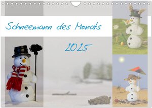 Buchcover Schneemann des Monats 2025 (Wandkalender 2025 DIN A4 quer), CALVENDO Monatskalender | Brigitte Schlögl | EAN 9783435812608 | ISBN 3-435-81260-5 | ISBN 978-3-435-81260-8
