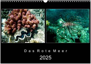 Buchcover Das Rote Meer – 2025 (Wandkalender 2025 DIN A3 quer), CALVENDO Monatskalender | © Mirko Weigt, Hamburg | EAN 9783435813315 | ISBN 3-435-81331-8 | ISBN 978-3-435-81331-5