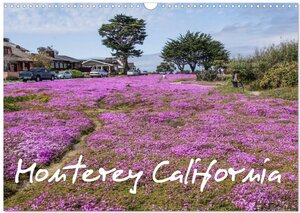 Buchcover Monterey California (Wandkalender 2025 DIN A3 quer), CALVENDO Monatskalender | Peter Möller | EAN 9783435813681 | ISBN 3-435-81368-7 | ISBN 978-3-435-81368-1