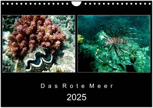 Buchcover Das Rote Meer – 2025 (Wandkalender 2025 DIN A4 quer), CALVENDO Monatskalender | © Mirko Weigt, Hamburg | EAN 9783435813698 | ISBN 3-435-81369-5 | ISBN 978-3-435-81369-8