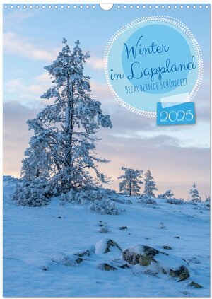 Buchcover Winter in Lappland - Bezaubernde Schönheit (Wandkalender 2025 DIN A3 hoch), CALVENDO Monatskalender | Stephan Schulz | EAN 9783435886258 | ISBN 3-435-88625-0 | ISBN 978-3-435-88625-8