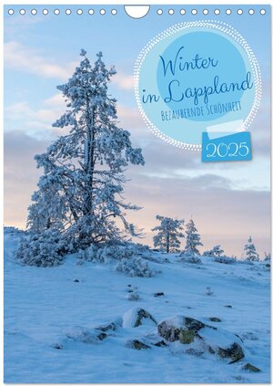 Buchcover Winter in Lappland - Bezaubernde Schönheit (Wandkalender 2025 DIN A4 hoch), CALVENDO Monatskalender | Stephan Schulz | EAN 9783435886623 | ISBN 3-435-88662-5 | ISBN 978-3-435-88662-3
