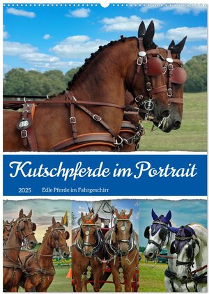 Buchcover Kutschpferde im Portait (Wandkalender 2025 DIN A2 hoch), CALVENDO Monatskalender | Claudia Kleemann | EAN 9783435900244 | ISBN 3-435-90024-5 | ISBN 978-3-435-90024-4