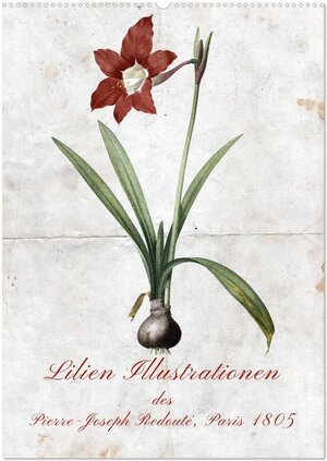 Buchcover Lilien Illustrationen des Pierre-Joseph Redouté, Paris 1805 (Wandkalender 2025 DIN A2 hoch), CALVENDO Monatskalender | Kavodedition Bonheur18 Switzerland Marena Camadini | EAN 9783435939534 | ISBN 3-435-93953-2 | ISBN 978-3-435-93953-4