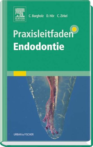 Praxisleitfaden Endodontie