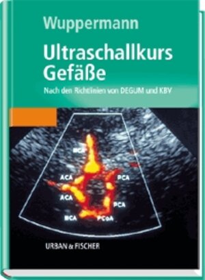 Ultraschallkurs Gefäße