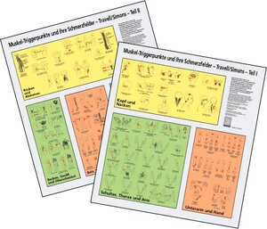 Muskel-Triggerpunkte und ihre Schmerzfelder 1/2. Obere Extremität / Untere Extremität. Wandtafel: 2 Wandtaf.