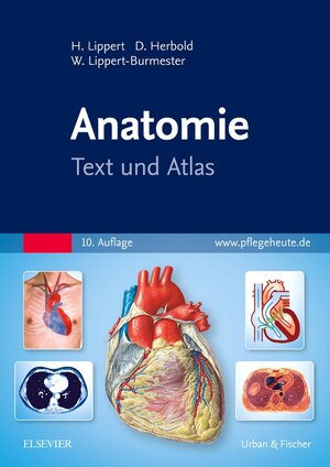 Buchcover Anatomie | Herbert Lippert | EAN 9783437261831 | ISBN 3-437-26183-5 | ISBN 978-3-437-26183-1