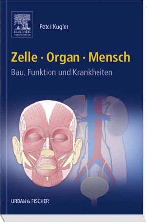 Buchcover Zelle Organ Mensch | Peter Kugler | EAN 9783437271106 | ISBN 3-437-27110-5 | ISBN 978-3-437-27110-6