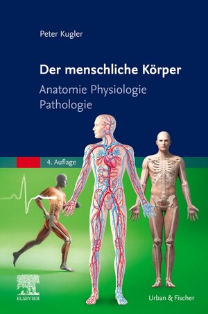 Buchcover Der menschliche Körper | Peter Kugler | EAN 9783437271137 | ISBN 3-437-27113-X | ISBN 978-3-437-27113-7