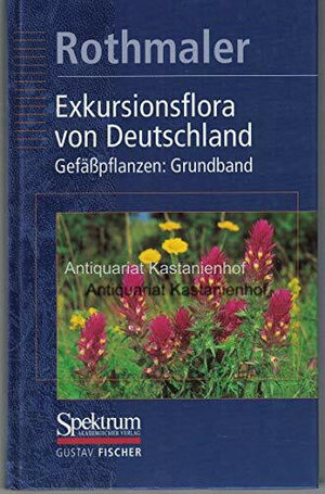 Buchcover Exkursionsflora von Deutschland / Gefässpflanzen  | EAN 9783437351501 | ISBN 3-437-35150-8 | ISBN 978-3-437-35150-1